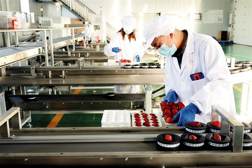 鄂爾多斯 建設農副產品電商服務中心，賦能養(yǎng)生保健服務新生態(tài)